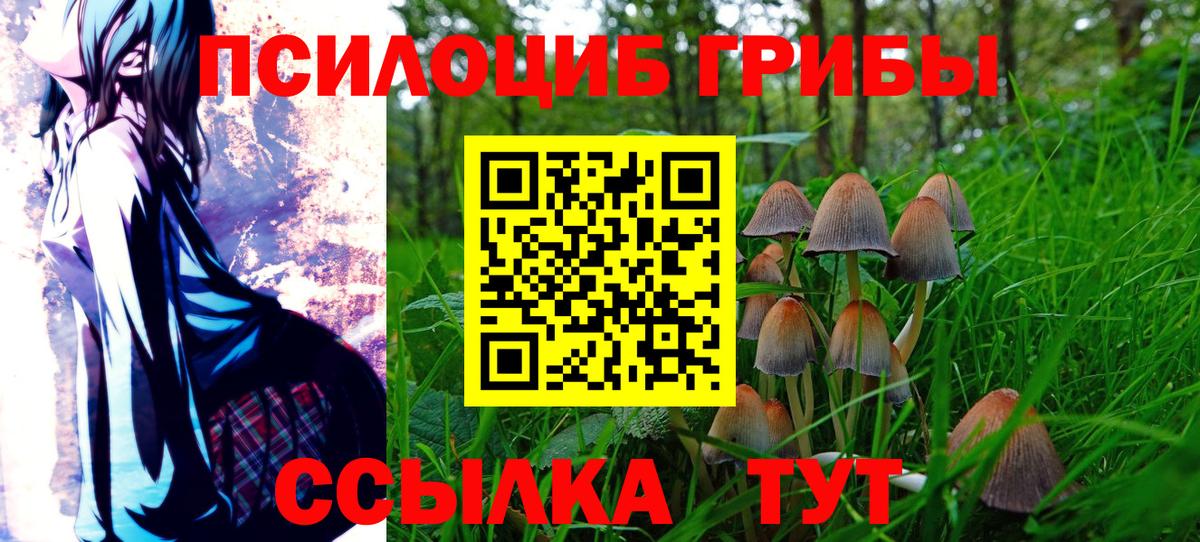 Псилоцибиновые грибы мухоморы Кудымкар