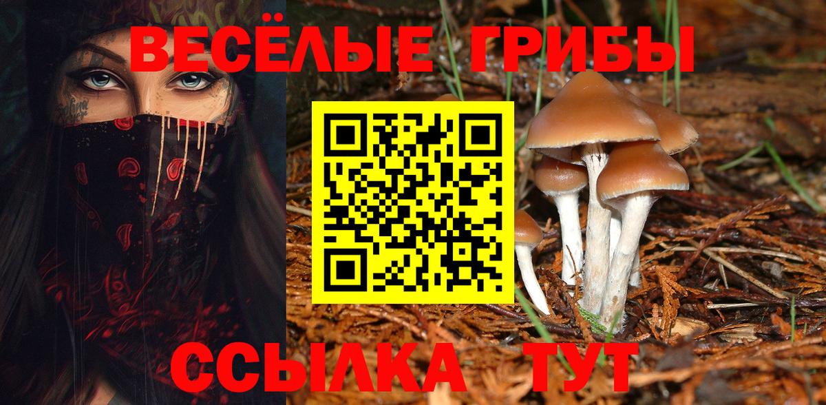 Галлюциногенные грибы Magic Shrooms  где можно купить наркотик  Галлюциногенные грибы ЛСД  Кудымкар  Вход с VPN 